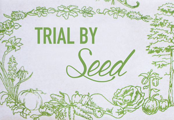Trial By Seed A New Series Pinetree Garden Seeds Pinetree