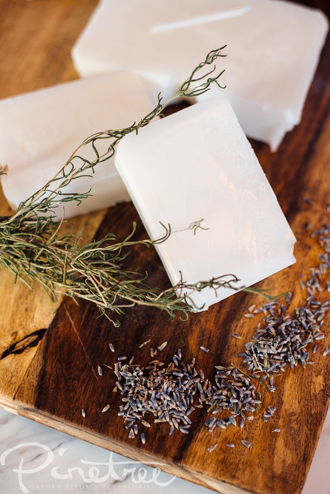 10 Best Herbs for Soapmaking plus Chamomile Tea Soap – LearningHerbs