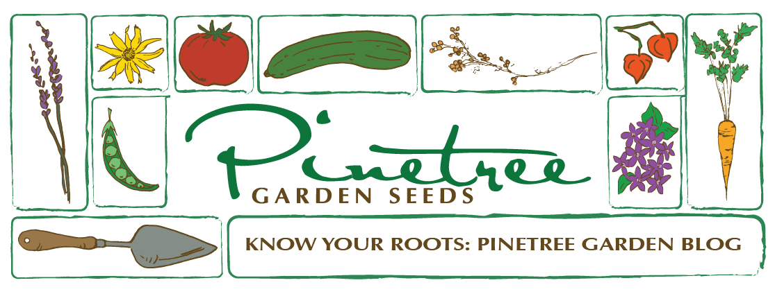 Pinetree Garden Seeds Helping Home Gardeners Succeed Since 1979